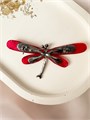Брошь "Стрекоза любви" 16663