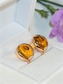Набор с янтарем "Тигровый глаз" (В1) 13636