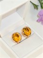 Набор с янтарем "Тигровый глаз" (В1) 13636